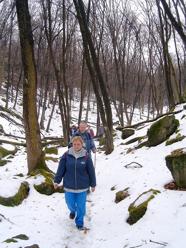 20100220 045.jpg